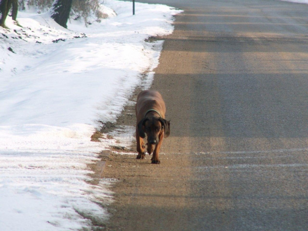 Spacer, Bębło 2007-12-22