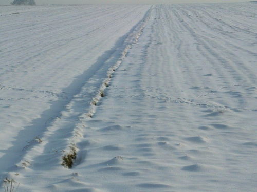 Spacer, Bębło 2007-12-22