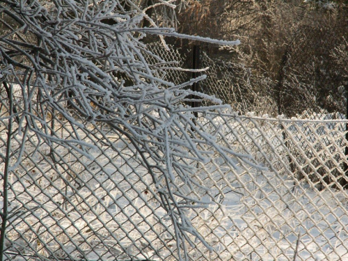 Spacer, Bębło 2007-12-22