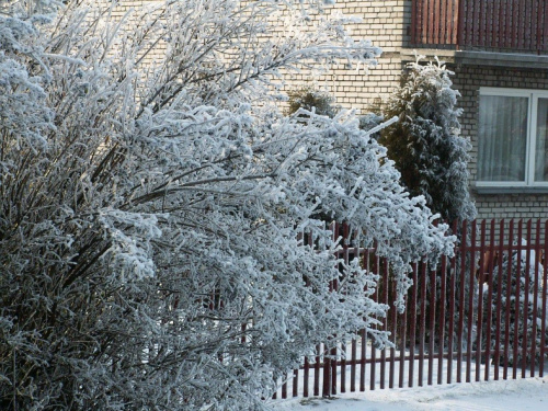 Spacer, Bębło 2007-12-22