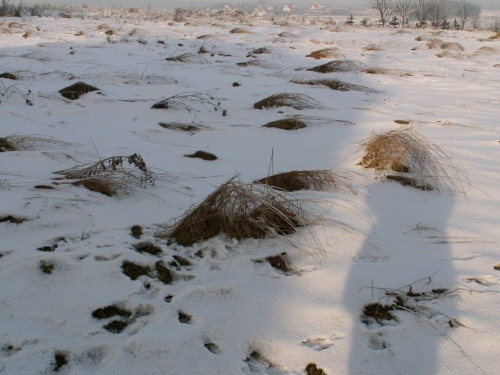 Spacer, Bębło 2007-12-22