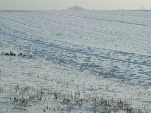 Spacer, Bębło 2007-12-22